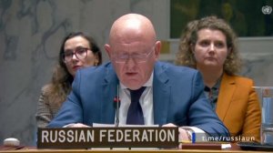 🇷🇺Заявления постпреда России в ООН Василия Небензи на заседании Совбеза по Украине…🔽🔽🔽