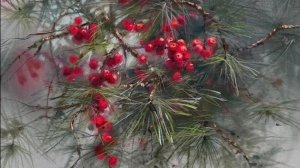 ВОДОЛЕИ. 🍀🍀🍀 Ваш таро-прогноз на декабрь 2025 года.