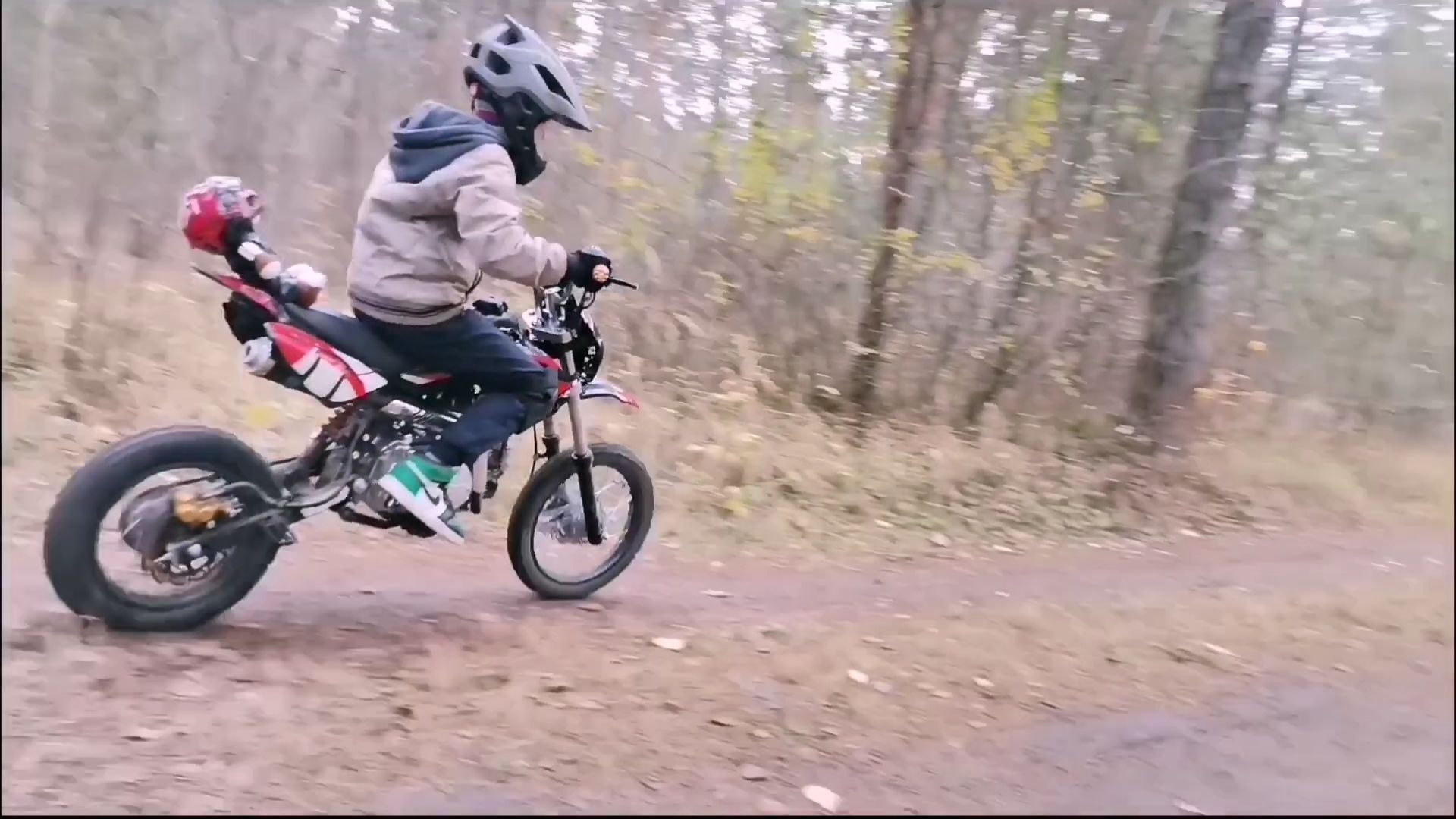 С медведем на питбайке!!!