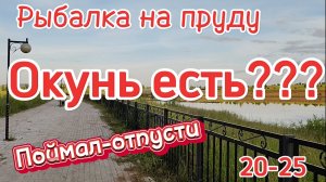 Рыбалка на пруду. Где искать окуня? Как поймать? Мормышинг и микроджиг. МормоКама 20-25