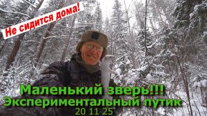 Маленький зверь! Экспериментальный путик 20 11 25  ресемп