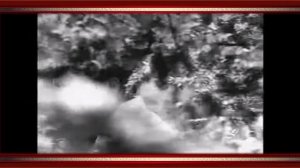 Кажаров Презентация 2