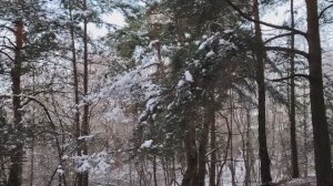 Новости из мира финансов и не только. Сим-карты. Мошенники и ЖКХ. Другие новости