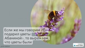 Фамилия Абанина: происхождение, значимость и нюансы склонения в русском языке