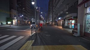 Атмосфера старого Токио 🏮 Ночь выходного дня в Ниппори Нэдзу Окачимати Экскурсия