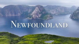 Ньюфаундленд — живописный расслабляющий фильм с успокаивающей музыкой