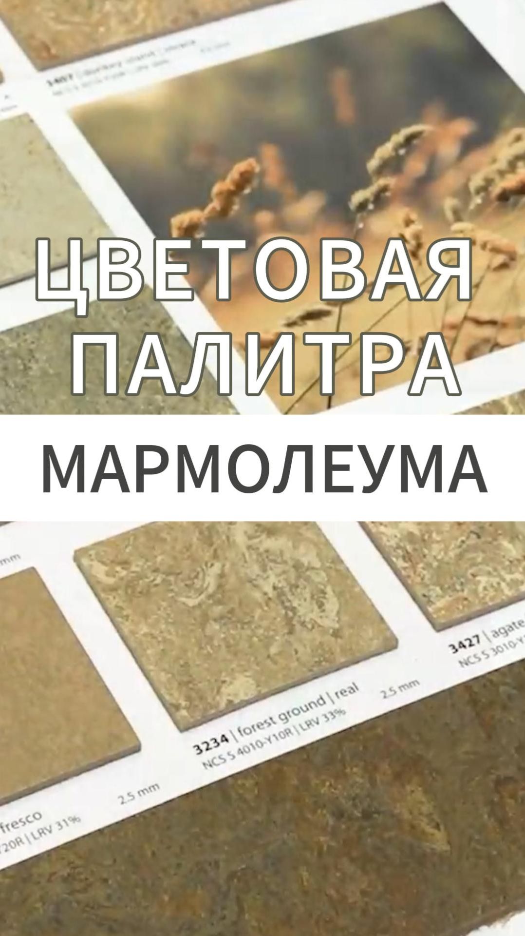 Цветовая палитра Мармолеума смотреть онлайн