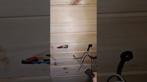 1000040736.mp4 (Собака смотрит на монтаж э/проводки (техн. уст. э/розеток, э/выкл.) в доме А-фрем)