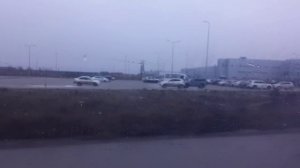 большой влог с басиком!едем в гости к бабушке 😸😍кошечки/мяу/мур