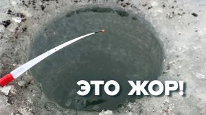 ЭТА ЛУНКА НЕ ДЛЯ СЛАБОНЕРВНЫХ...КРУПНЯК на КИВОК и ПОПЛАВОК!!! Зимняя рыбалка 2025