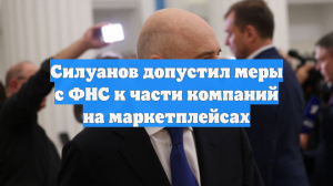 Силуанов допустил меры с ФНС к части компаний на маркетплейсах