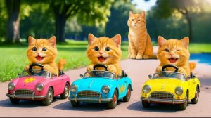 Новое приключение мамы кошки и тигровых котят