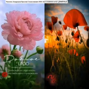 Подпишись 👉 https://www.avito.ru/sankt-peterburg/odezhda_obuv_aksessuary/podveska_iz_nefrita_kle...