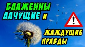 Блаженны алчущие и жаждущие правды - Василий Савич. Христианские проповеди