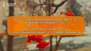 Сильный ветер будет в Барнауле в выходные дни