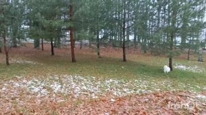 18.11.25. Будни.