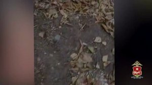 В Хакасии вымогатели заставили местного жителя продать квартиру