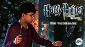 Гарри Поттер и Дары Смерти