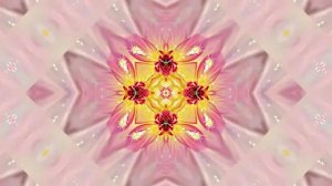 Видеофоны! Видеофон Осенняя цветочная фантазия 5 от Киностудии Мудрого Кота Тимофея!