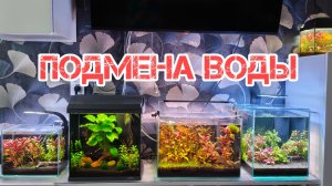 Подмена воды в аквариумах креветочниках. Как делаю это я.