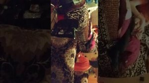 🍭чупикHistore🍭 у меня в гостях что!!!