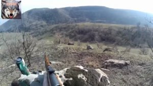 Охота на лисицу