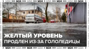 Желтый уровень опасности из-за гололедицы продлен в Москве до 24 ноября