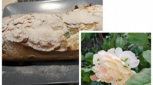 Кекс на десерт. Ответы на вопросы новых друзей. ♥️