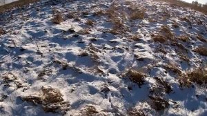 охота на зайца и одна дробина решает