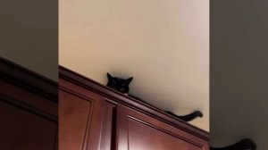 Проводим наблюдение