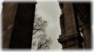 Диваны и Кони.