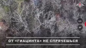 Боевая работа расчётов артиллерийских орудий «Гиацинт-Б» группировки войск «Восток»