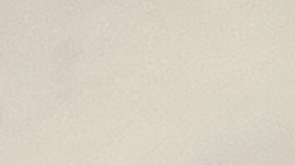 21-11-2025jdjdhdhd