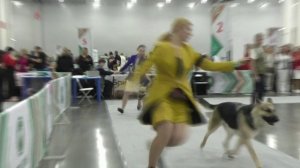 Сравнение класса ветеранов