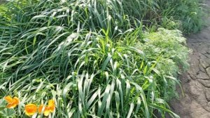 Так зима или весна