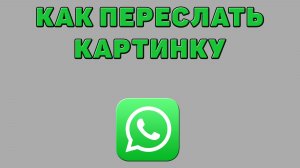 Как переслать картинку в Ватсапе