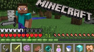 minecraft 9