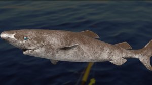 Русская Рыбалка 4 !!!