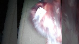 РАСПОКОВКА ПРОДУКТОВ ЧТО МУЖ КУПИЛ