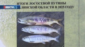 Будущее промысла. Учёные представили неутешительные прогнозы по сахалинскому лососю