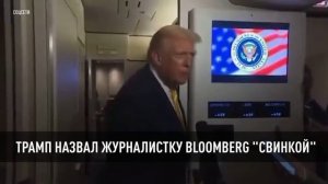 Трамп назвал журналистку Bloomberg "свинкой"
