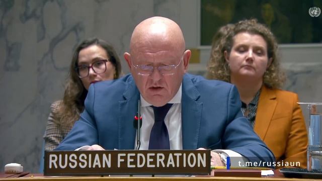 В.А.Небензя на заседании Совета Безопасности ООН по Украине, Нью-Йорк, 20 ноября 2025 года