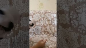 ева забыла учебник математики