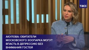 Акулова: обитатели Московского зоопарка могут впасть в депрессию без внимания гостей