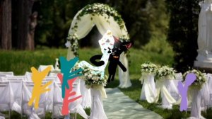 Свадьба с тоффом ИИИИИИИИИ!!!! скоро будут котяткиииииии❗❕❗❕❗❕❗❕❗❕❗❕❗❗❕❗❕❗❕❗〰️〽️〽️〽️〽️