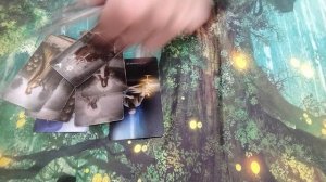 Стрельцы  Декабрь 2025 таро Отношения Любовь ,Свободные