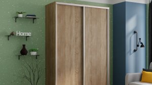 Обзор 2-х дверного шкафа-купе серии "Экспресс", Фасад: Дуб сонома, Корпус: Дуб сонома