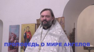 Проповедь о мире ангелов. Священник Валерий Сосковец