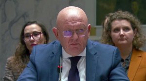 Василий Небензя напомнил Совету Безопасности ООН о коррупционном скандале на Украине.