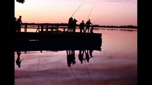 "Розовым и синим..."